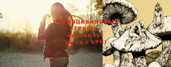 кокс Арсеньев