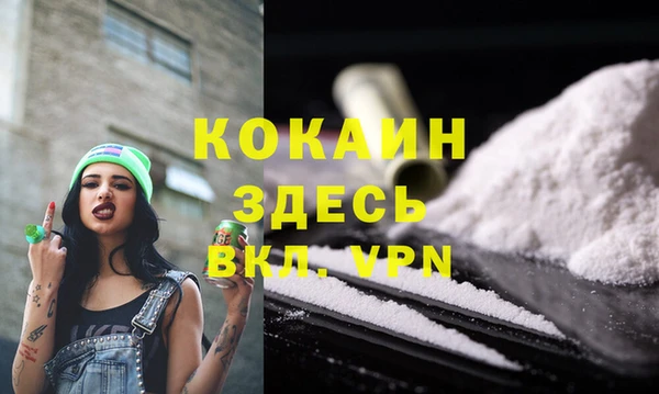 кокс Арсеньев